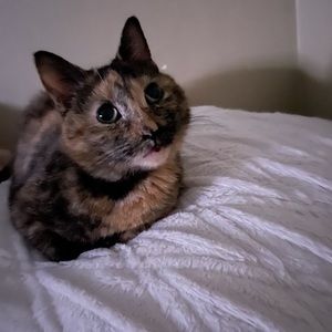 Meet your Posher, _Zealous